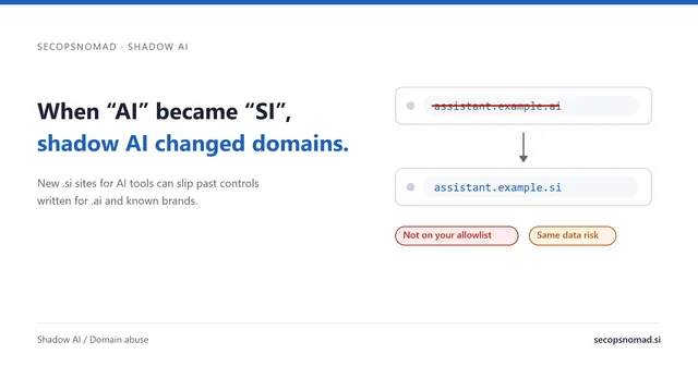 Header card: the headline beside an address bar where assistant.example.ai is crossed out and replaced by assistant.example.si, with the labels Not on your allowlist and Same data risk